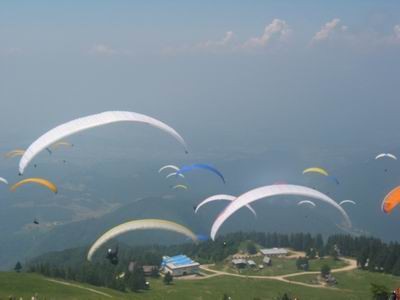 Krvavec,24-26.6.2005 - foto povečava