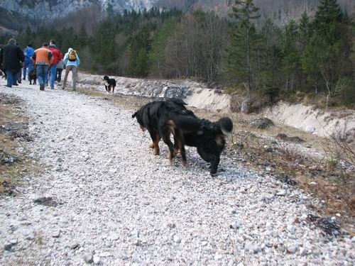 Bernsko srečanje v Kamniški bistrici,6.1.2007 - foto povečava