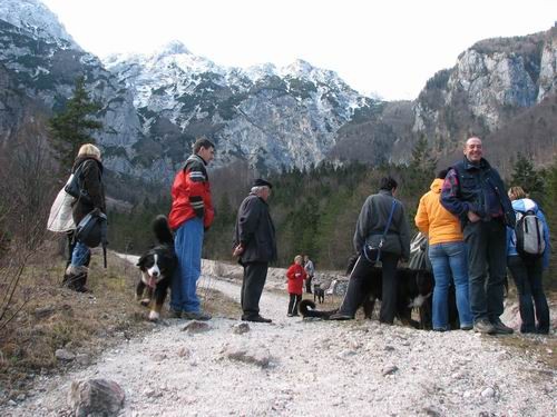 Bernsko srečanje v Kamniški bistrici,6.1.2007 - foto