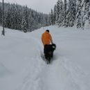 Pokljuka,27.1.2007