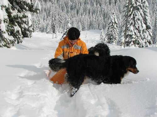 Pokljuka,27.1.2007 - foto