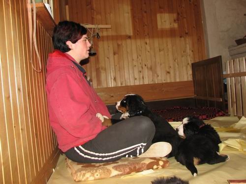 Čelinini mladički,2.2.2007 - foto povečava