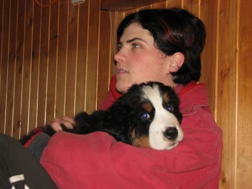 Čelinini mladički,2.2.2007 - foto povečava