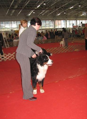 CAC Celje,25.2.2007 - foto