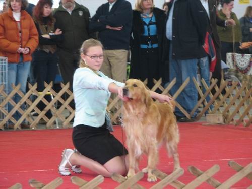 CAC Celje,25.2.2007 - foto