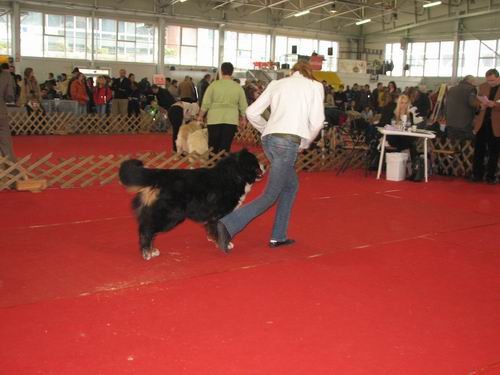 CAC Celje,25.2.2007 - foto povečava