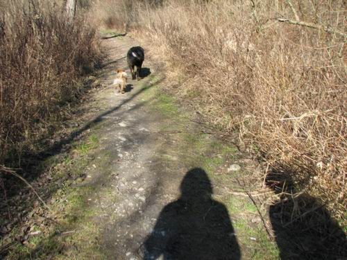 Rina,Chaya in Kan - foto povečava