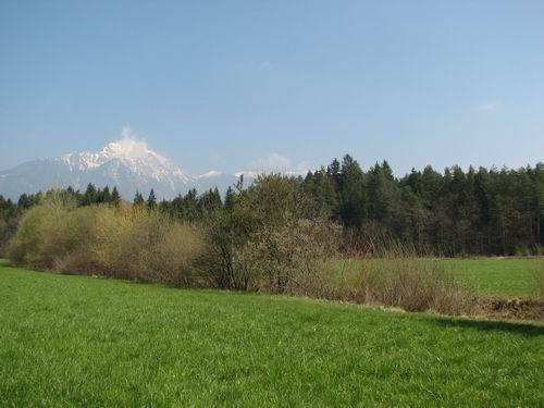 April 2007 - foto povečava