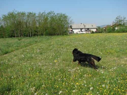 April 2007 - foto povečava