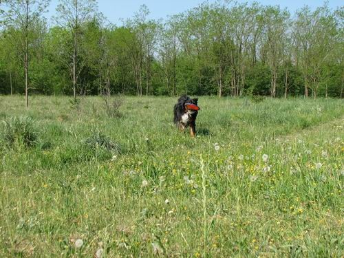 April 2007 - foto povečava