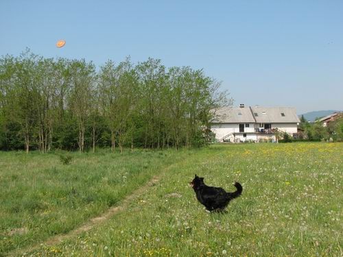 April 2007 - foto povečava