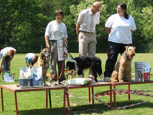 2.uradna rallyO tekma,KD Šmarna gora,13.5.200 - foto povečava