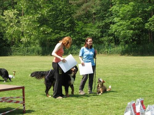 2.uradna rallyO tekma,KD Šmarna gora,13.5.200 - foto povečava