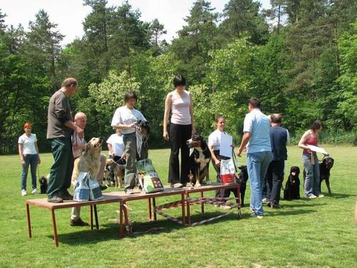 2.uradna rallyO tekma,KD Šmarna gora,13.5.200 - foto