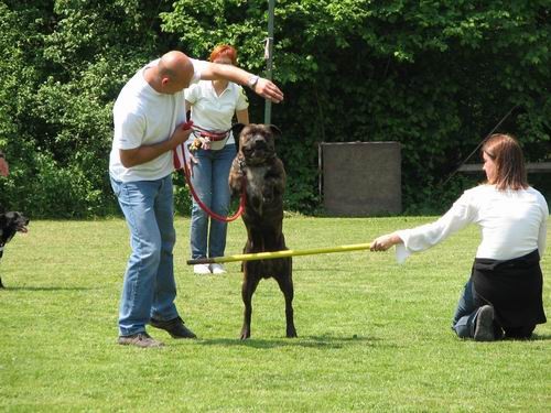 2.uradna rallyO tekma,KD Šmarna gora,13.5.200 - foto