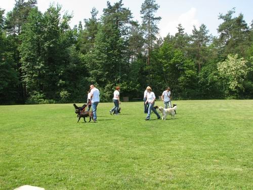 2.uradna rallyO tekma,KD Šmarna gora,13.5.200 - foto povečava