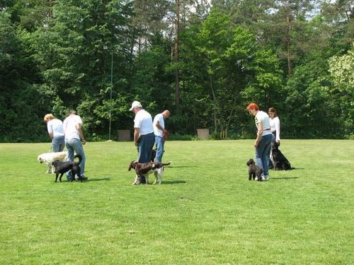 2.uradna rallyO tekma,KD Šmarna gora,13.5.200 - foto povečava