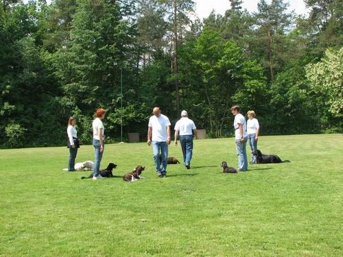 2.uradna rallyO tekma,KD Šmarna gora,13.5.200 - foto povečava