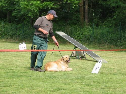 2.uradna rallyO tekma,KD Šmarna gora,13.5.200 - foto povečava