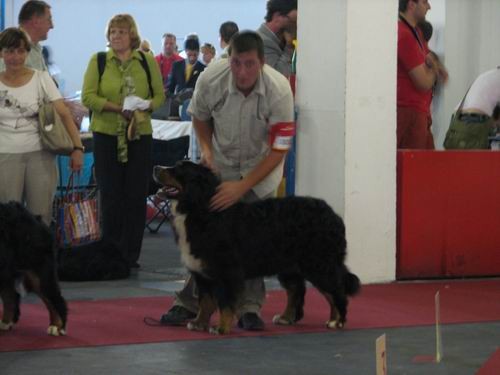 Evropska razstava: Zagreb,10.6.2007 - foto