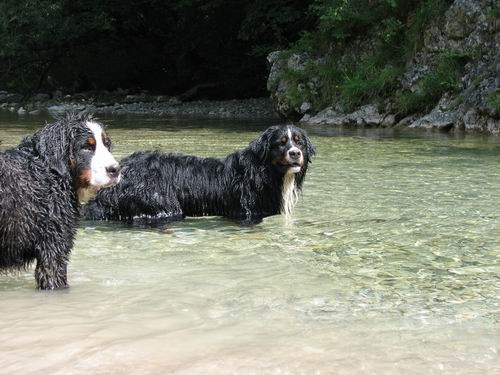 Berni sprehod,Iški Vintgar,29.6.2007 - foto