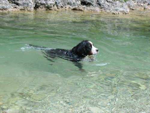 Berni sprehod,Iški Vintgar,29.6.2007 - foto