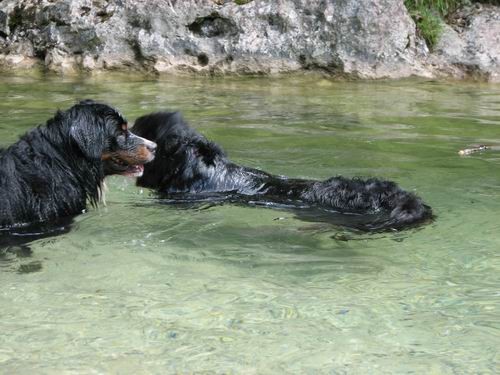 Berni sprehod,Iški Vintgar,29.6.2007 - foto