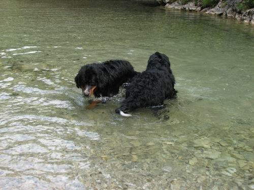 Berni sprehod,Iški Vintgar,29.6.2007 - foto povečava