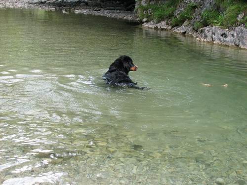 Berni sprehod,Iški Vintgar,29.6.2007 - foto povečava