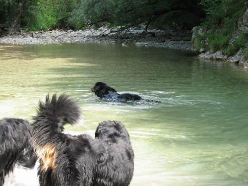 Berni sprehod,Iški Vintgar,29.6.2007 - foto povečava