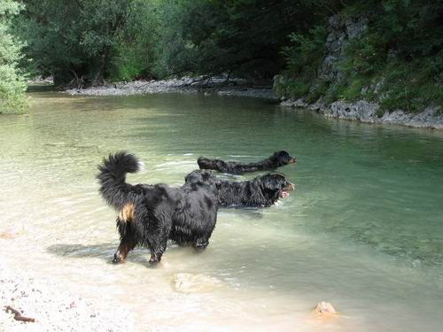 Berni sprehod,Iški Vintgar,29.6.2007 - foto povečava