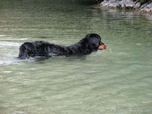 Berni sprehod,Iški Vintgar,29.6.2007 - foto povečava