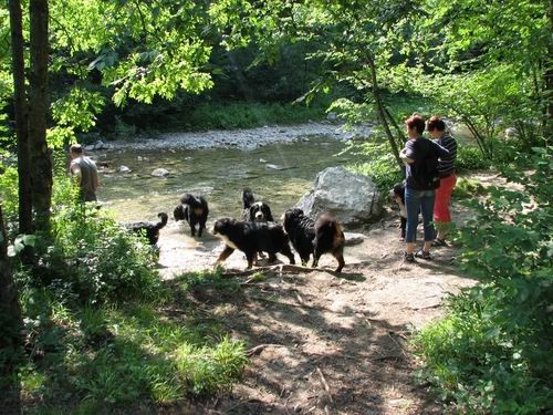 Berni sprehod,Iški Vintgar,29.6.2007 - foto povečava