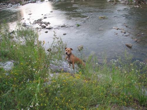 Rina in Šana,15.7.2007 - foto povečava