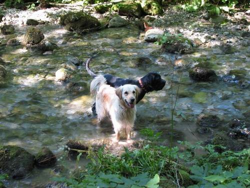 Na obisku pri Nini in Črtu, 16.7.2007 - foto