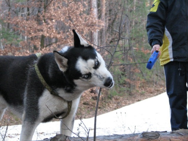 Pohorje - foto