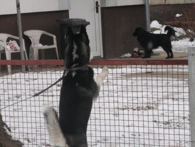 Sky(1) - foto