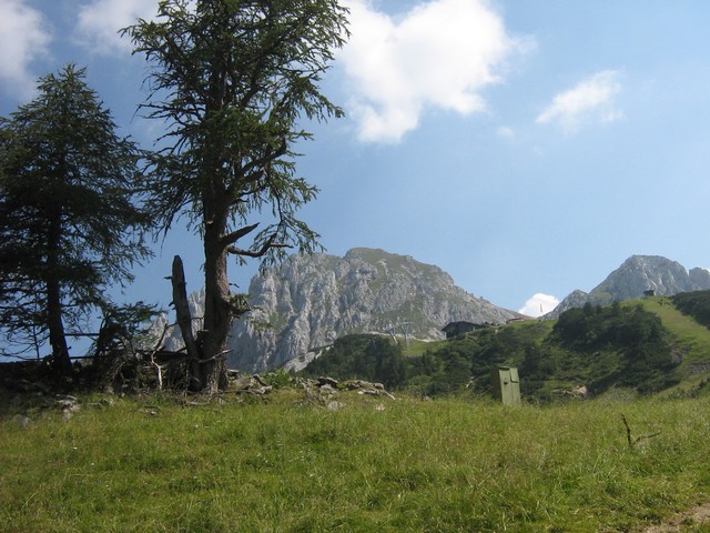21. 7. 2007