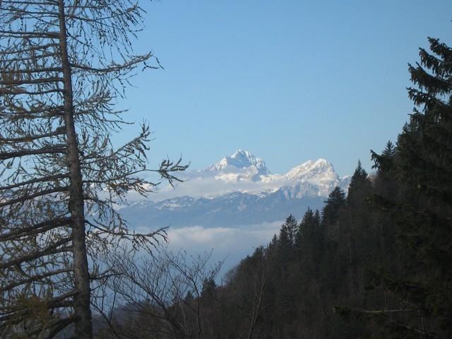 3. 11. 2007