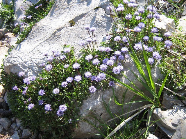 Paklenica - foto povečava