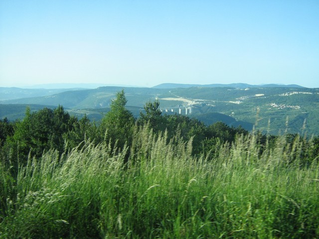 Slavnik - foto povečava