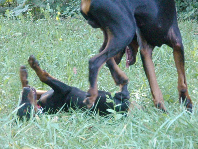 Iro&Saar - foto povečava