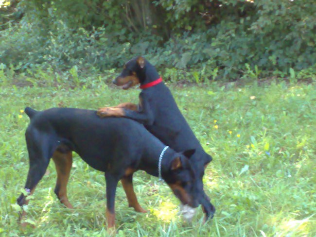 Iro&Saar - foto povečava