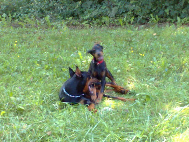 Iro&Saar - foto povečava