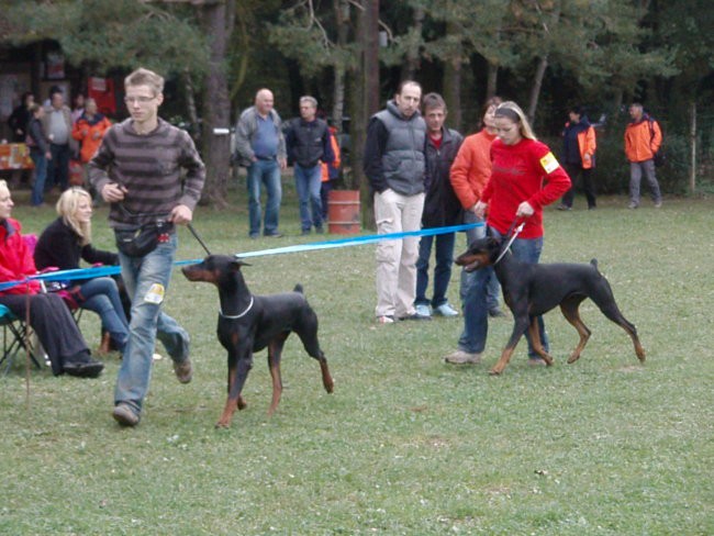 Alpe adria 2007 - foto povečava