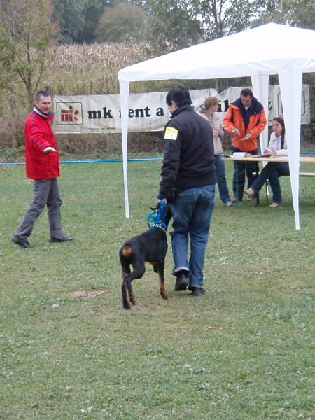 Alpe adria 2007 - foto povečava