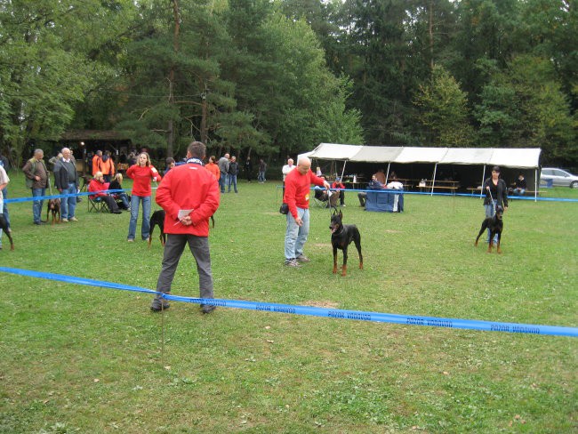 Alpe adria 2007 - foto povečava