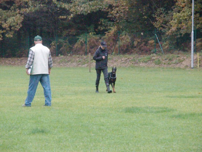 Vzrejni pregled 6.10.07 - foto povečava