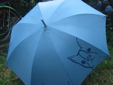 Boston terrier - 10  €
