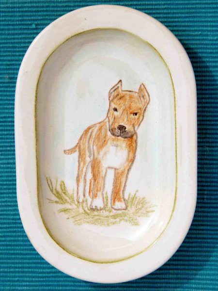 American Staffordshire Terrier - (16x12,5cm) - 10 €